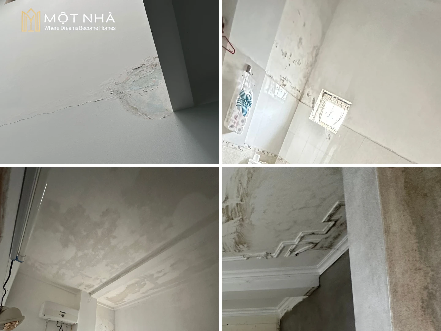 Các vết ẩm mốc xuất hiện ở khắp các không gian sinh hoạt của gia đình